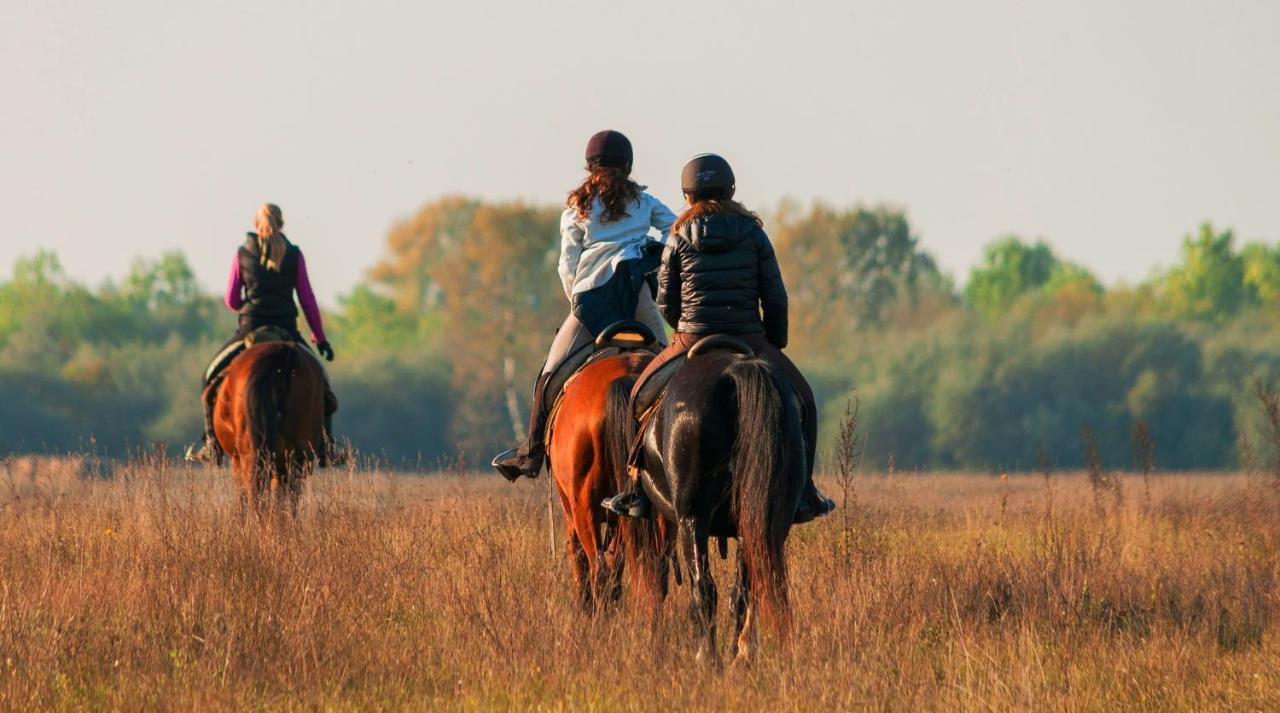 Homoki Lodge Bed & Beyond Glamping (Adults Only) Ruzsa Dış mekan fotoğraf
